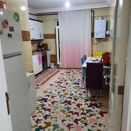 Apartment My